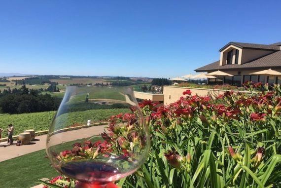 Wine Tasting in Oregon Wine Country at Willamette Valley Vineyards! Take a look at a tour of the winery, a delicious lunch and gorgeous Willamette Valley views!