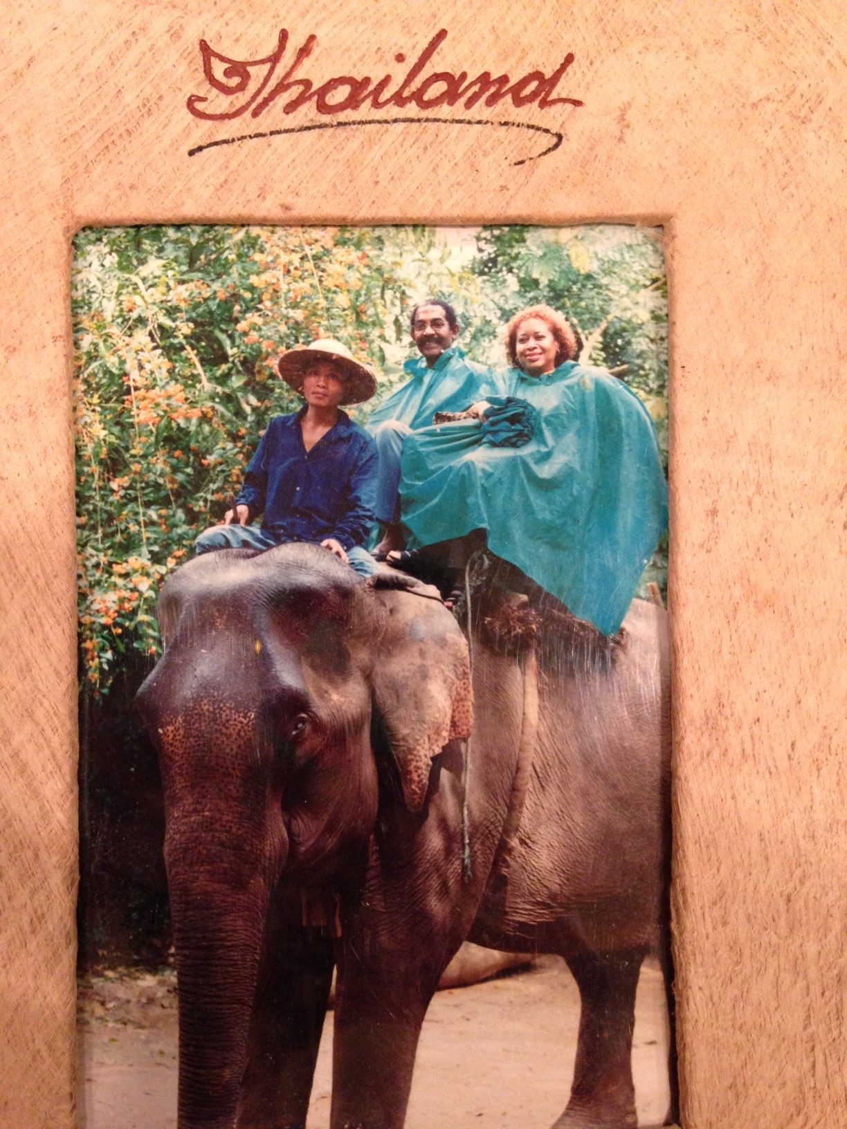 My Mother with a good family friend riding an elephant in Thailand!