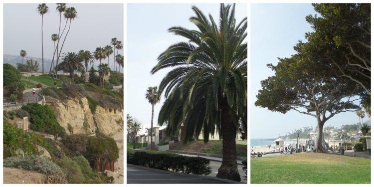 California Dreaming: Laguna Beach Attractions! Beaches, Art Galleries, a mammal center, boutiques and delicious restaurants all make this the perfect travel destination!
