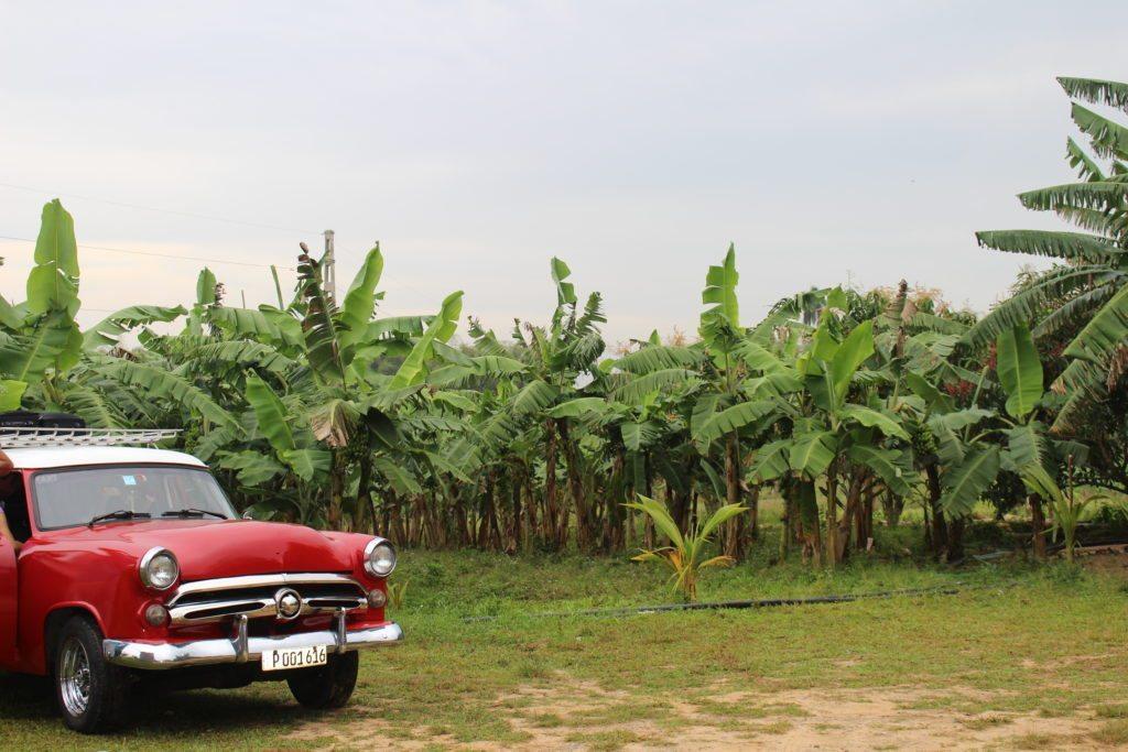 7 days in cuba, cuba all inclusive, cuba vacations, cuba itinerary, How To Spend 7 Days in Cuba! A full travel itinerary with stops in Havana, Vinales Valley, Cienfuegos and Trinidad! 