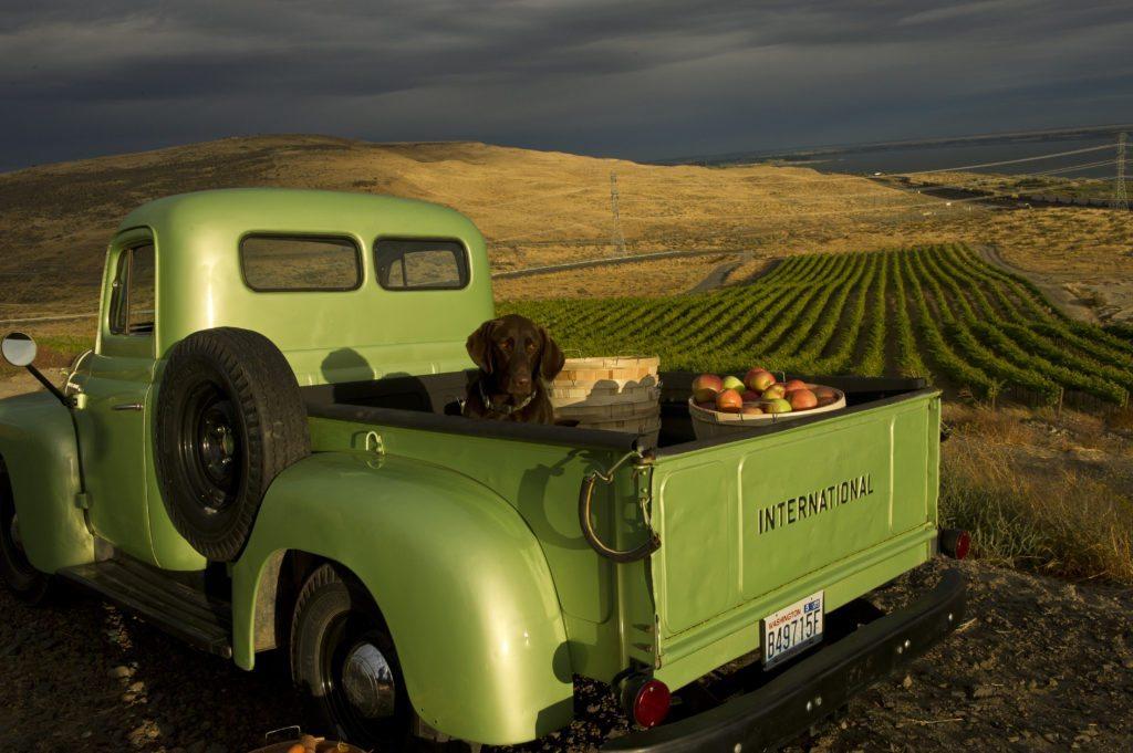 Get to know Mercer Wines from Washington State!