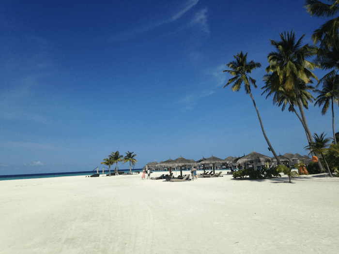 a beach in The Maldives