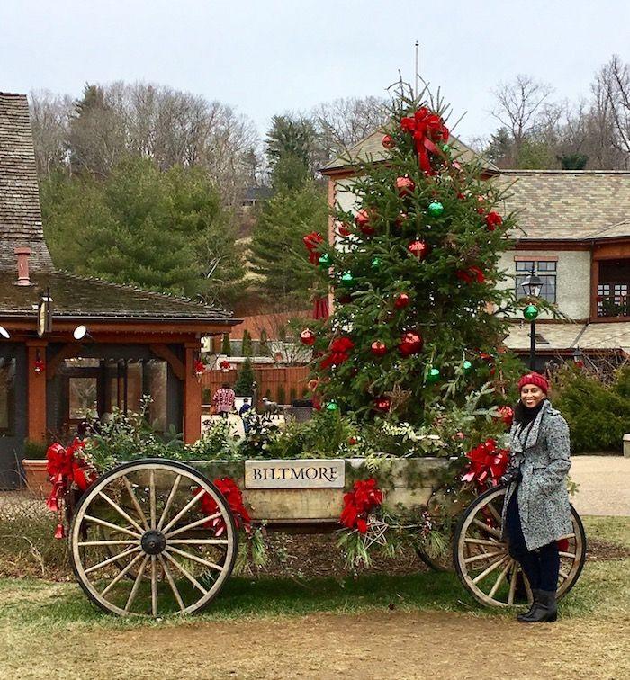 Christmastime at The Biltmore Estate in Asheville North Carolina! Includes a tour of the famous Biltmore House built in the 1800s by George Vanderbilt!