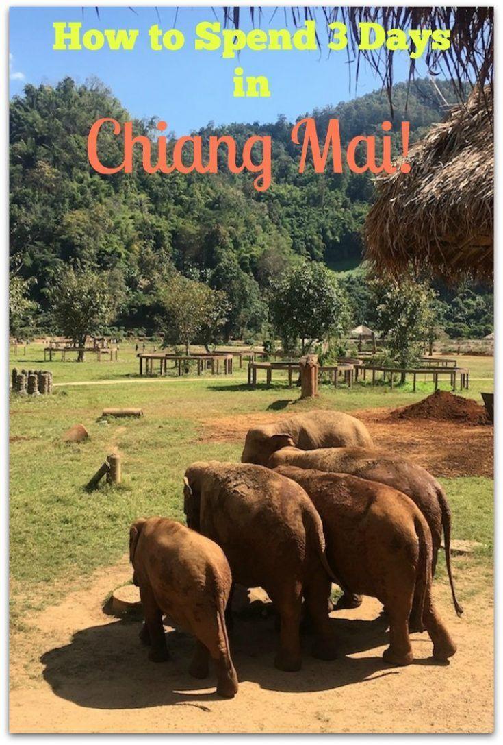 things to do in chiang mai, 3 days in chiang mai, thailand, travel, itinerary