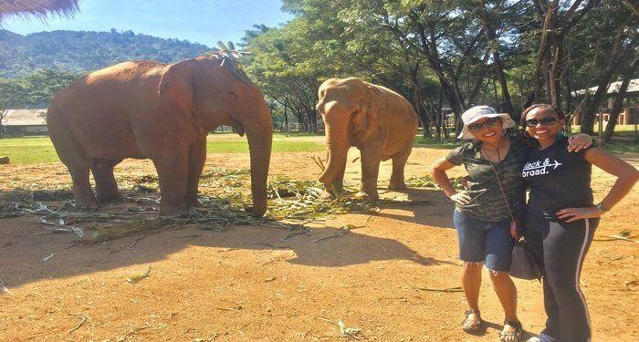3 days In Chiang Mai! Things to Do, See & Eat! This article gives you a 3 day travel itinerary through the beautiful area of Chiang Mai Thailand. You can experience adventure by hiking, trekking or visiting an elephant nature park, go shopping in the night markets, take a cooking class, go to a luxury spa and of course visit amazing temples!
