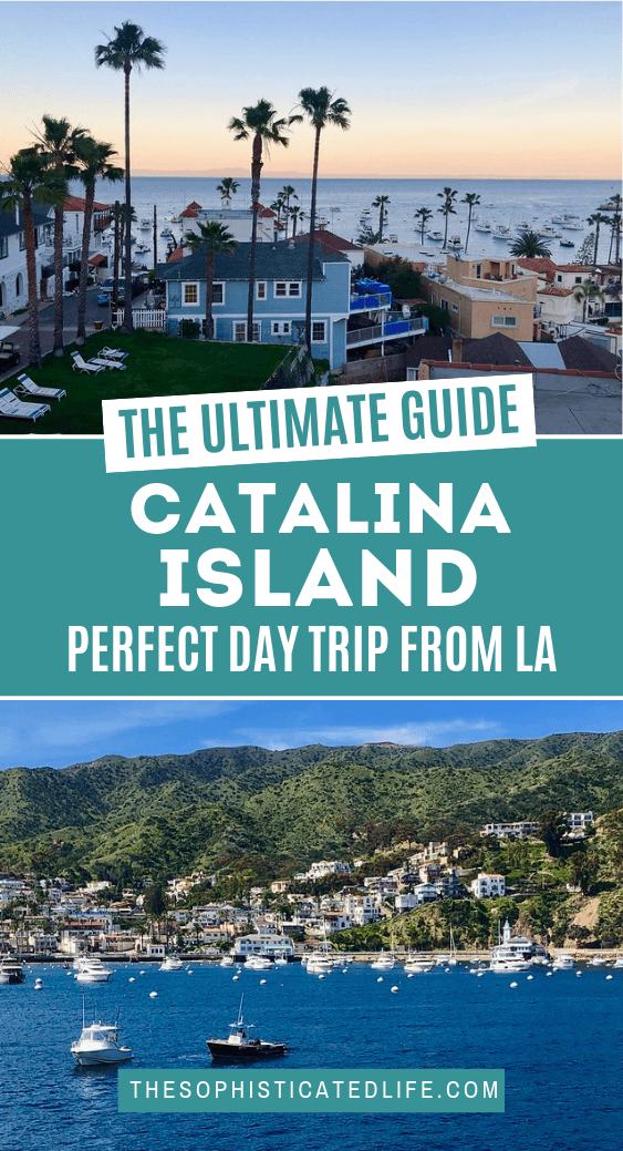 The perfect day trip to catalina island