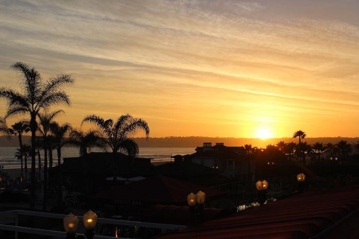 sunset with palm trees