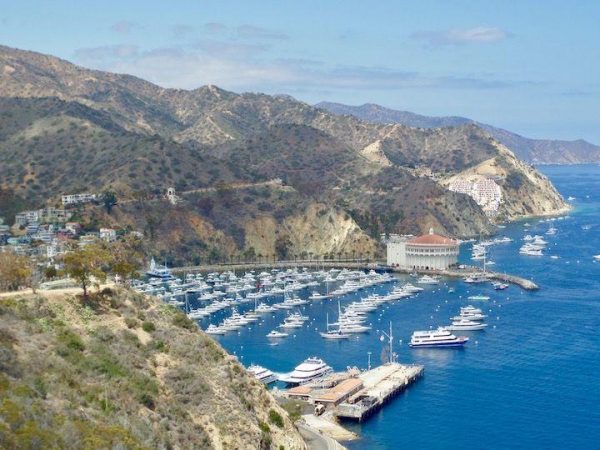 the marina at Santa Catalina Island