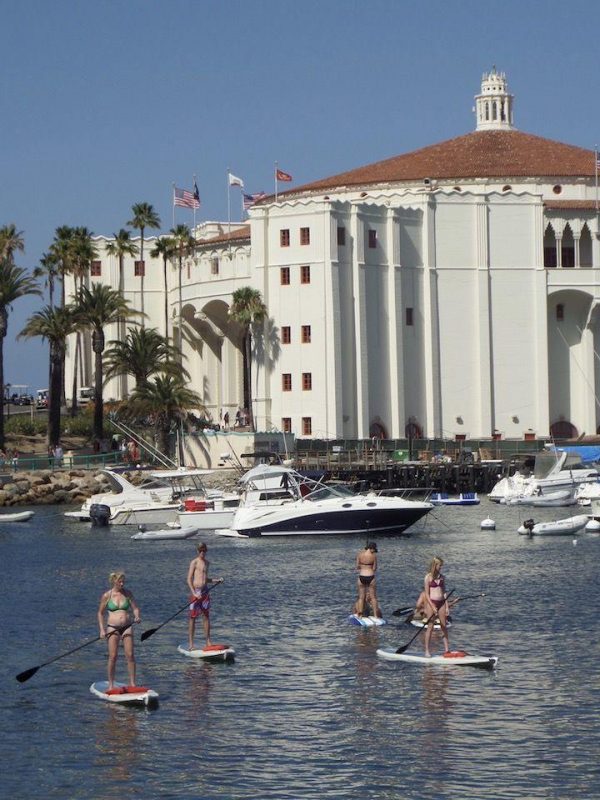 people using stand up paddle boards at Catalina Island