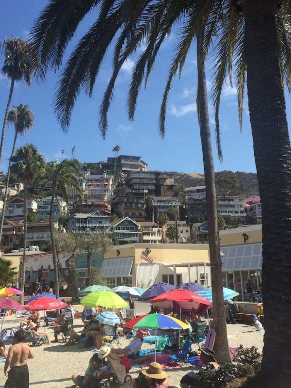 homes in the hills of Catalina Island