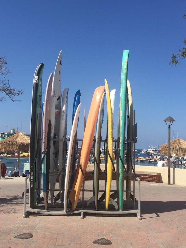 rack of surf boards on Catalina Island