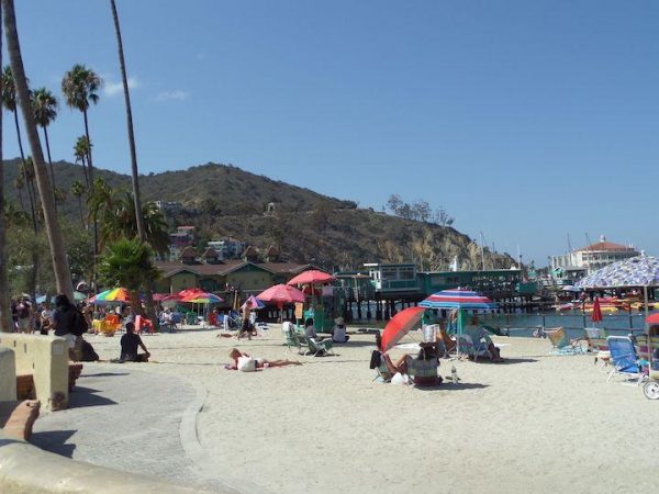 umbrellas on the beach in Avalon