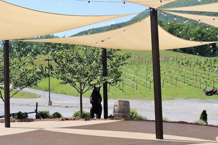 wineries in georgia, georgian wine, unicoi wine trail