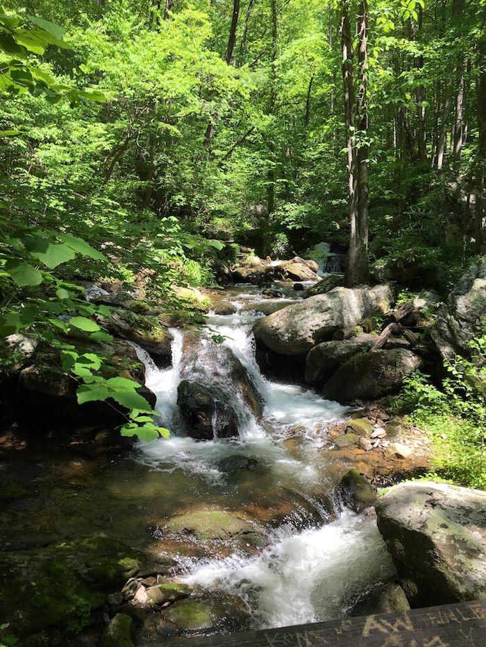 a cascading stream at Unicoi State Park 