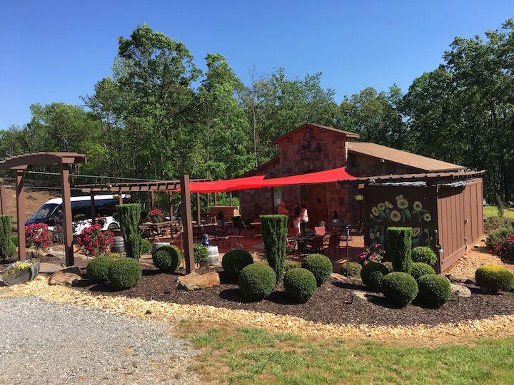 wineries in georgia, georgian wine, unicoi wine trail