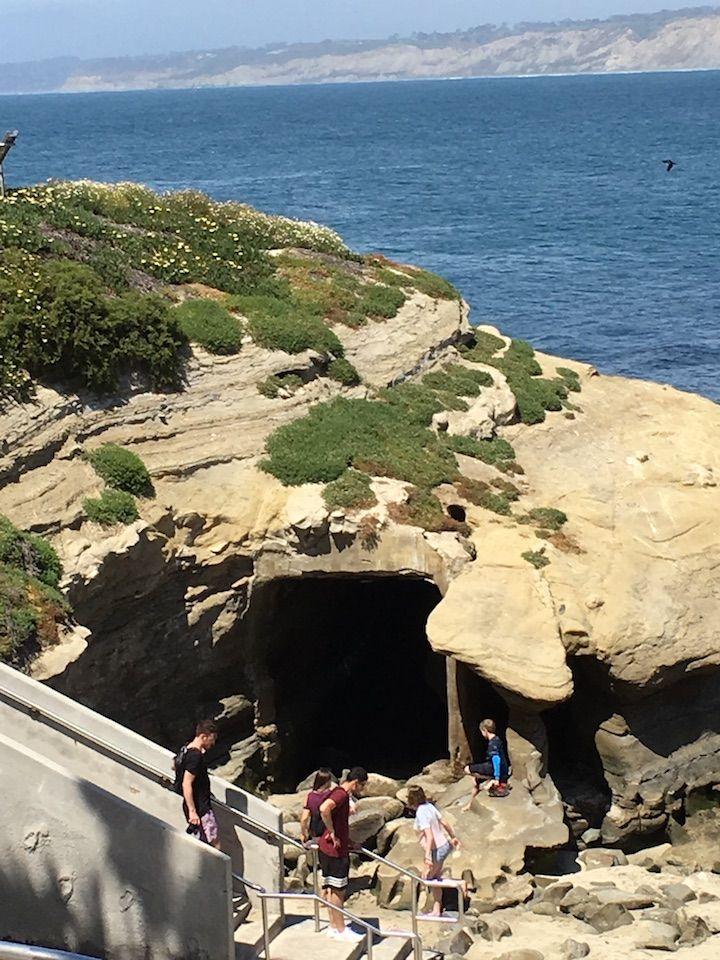 La Jolla Seal Cove California  San diego travel, San diego vacation,  California travel