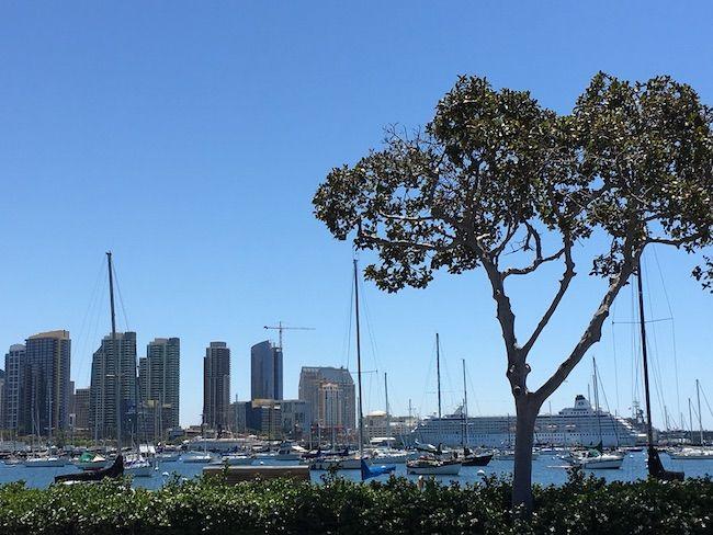 48 Hours in San Diego California! things to do in San Diego, road trip stop, family travel USA