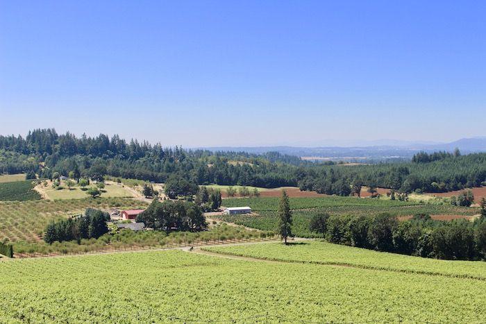 Willamette Valley Vineyards: Wine Tasting in Oregon Wine Country! A day trip from Portland Oregon!