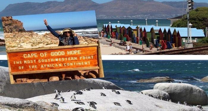 cape town road trip. take a day trip from cape town south africa to the cape peninsula. boulders beach, muizenberg beach, cape of good hope, cape point