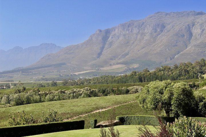 wine tasting in south africa, stellenbosch. cape town, south africa, day trip from cape town