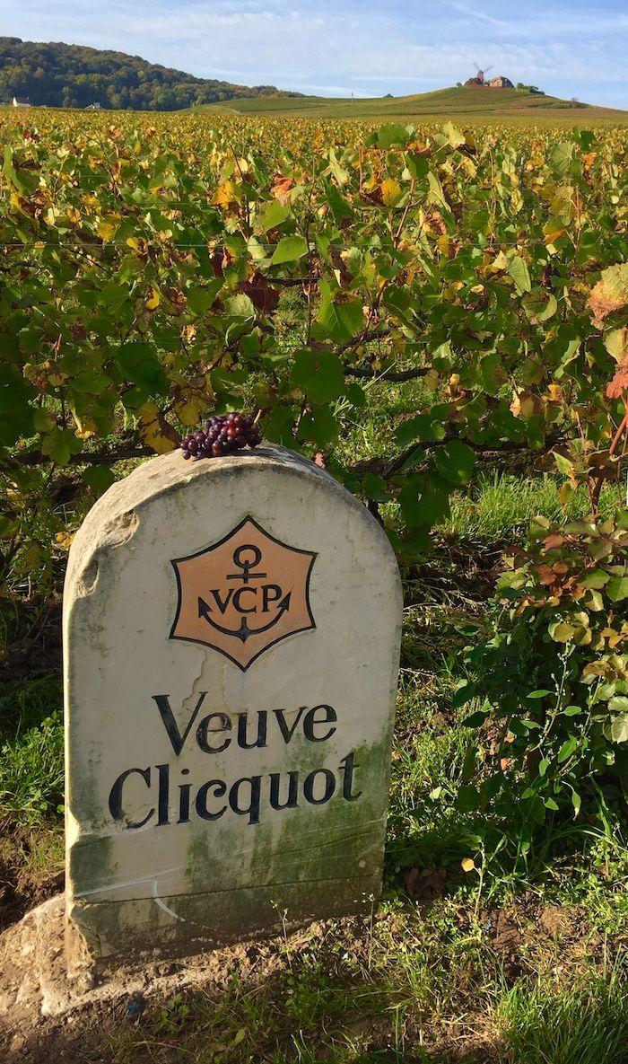 The Veuve Clicquot sign in the vineyard