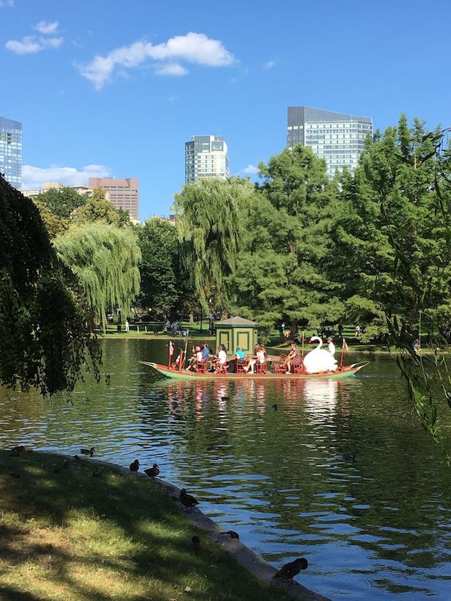 Boston, Massachusetts, Boston Public Gardens, Boston during the summer, Martha's Vineyard. Things to see & do in Boston during the summer, summertime in Boston