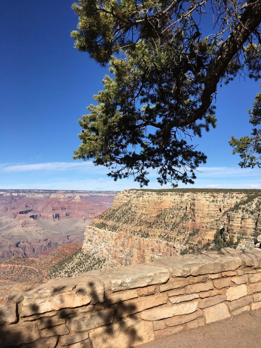 Overlooking Grand Canyon