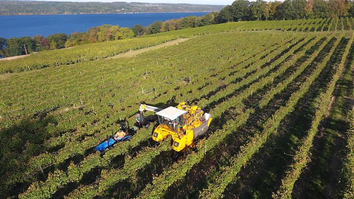 6 Amazing Reasons to Visit Finger Lakes & Corning New York, Corning Museum of Glass, Finger Lakes Wine Country, Seneca Lake Wine Trail