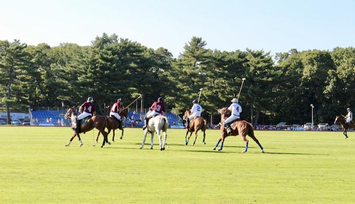 long island polo match