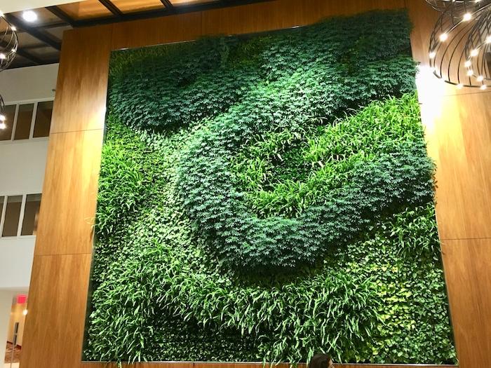 The green wall at the Long Island Marriott