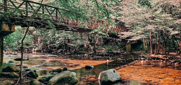 a bridge over the water in the Great Smoky Mountains